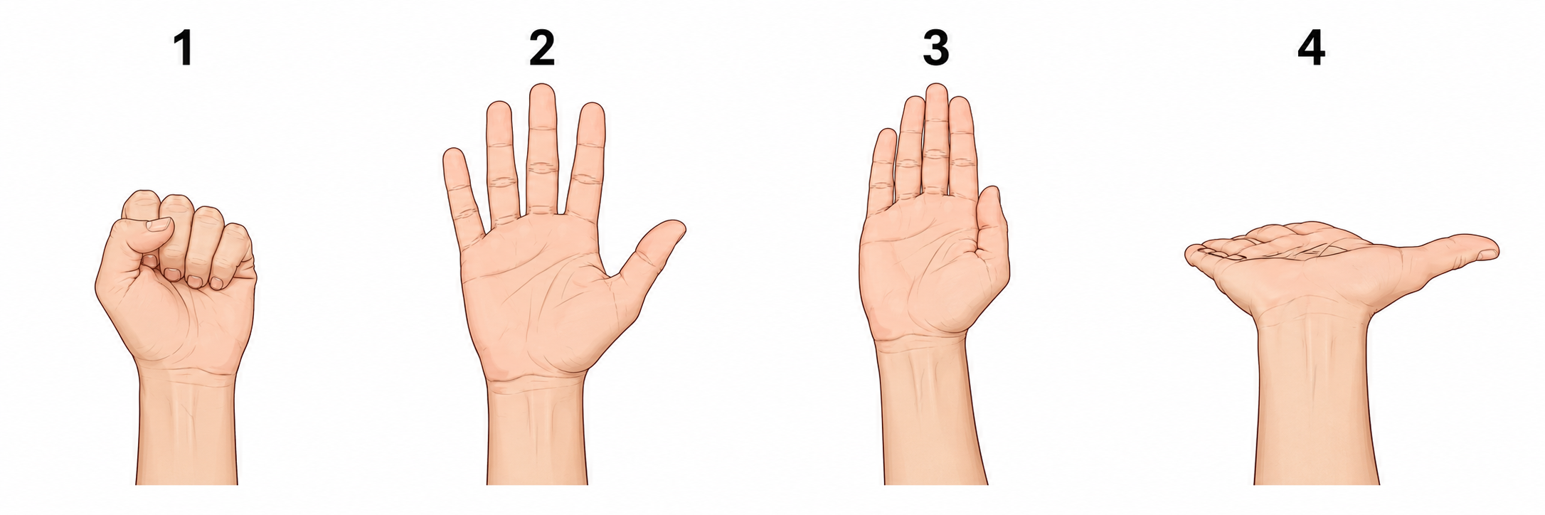 Bốn tư thế bài tập trượt thần kinh giữa